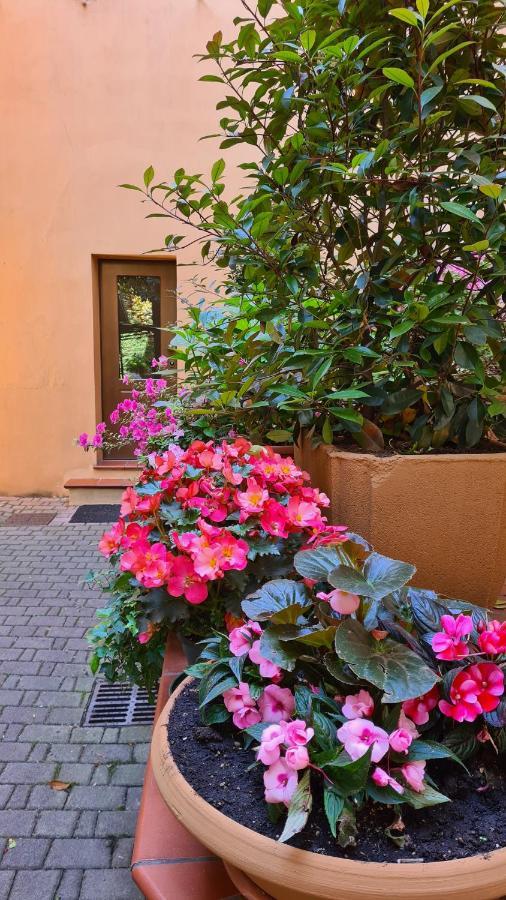 La Magnolia B&B Bolonya Dış mekan fotoğraf
