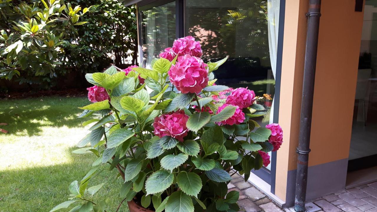 La Magnolia B&B Bolonya Dış mekan fotoğraf